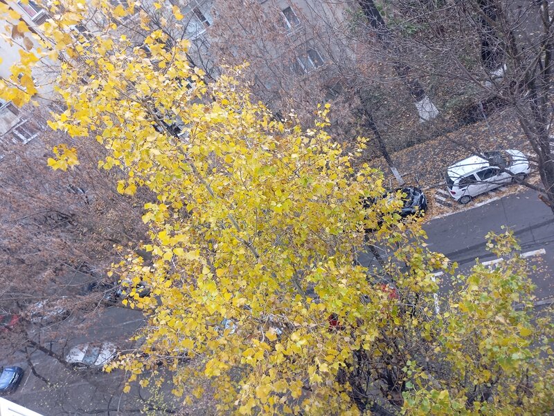 Panduri, Calea 13 Septembrie